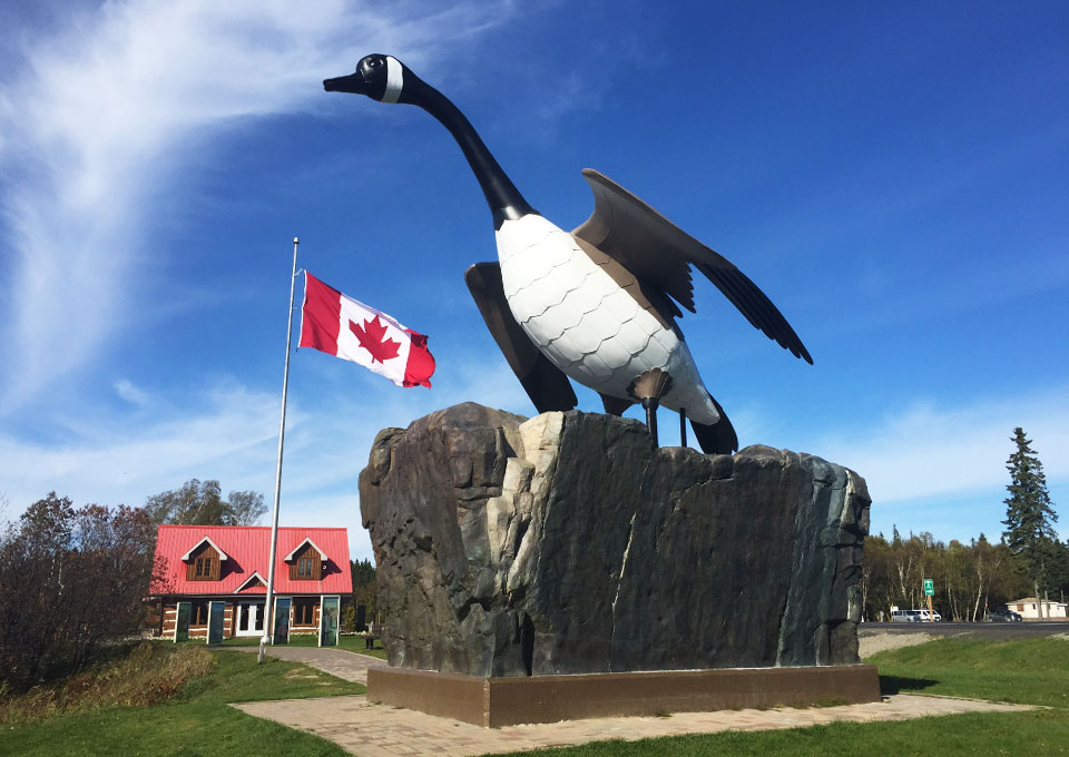 Wawa Goose and Tourist