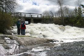 Nestor Falls