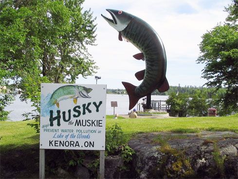 Husky the Muskie