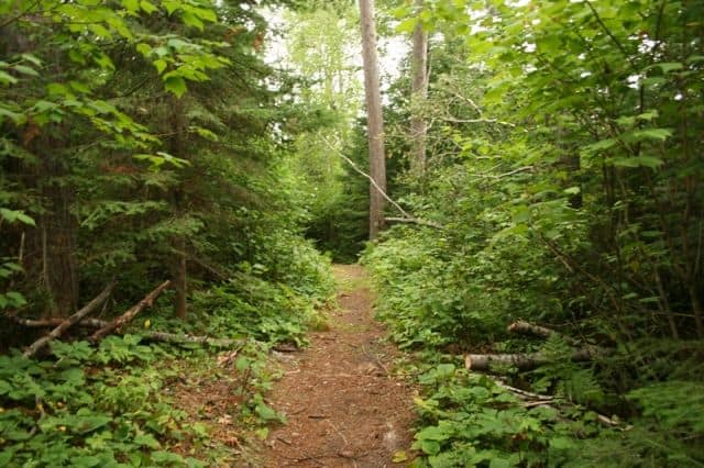 Vernon Nature Park