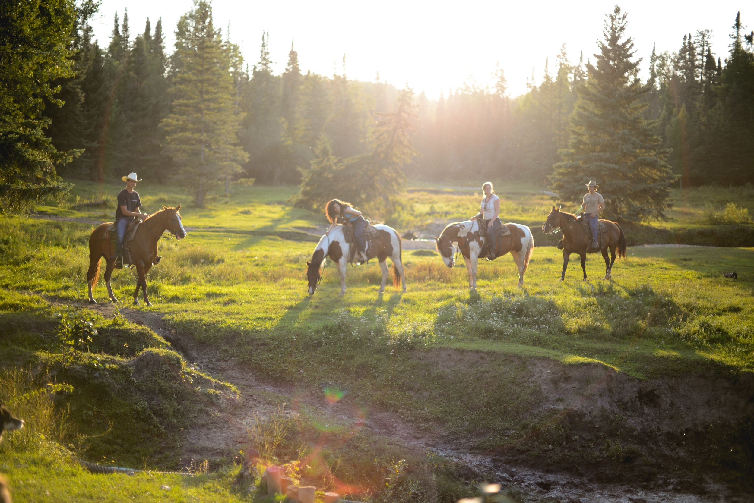 Falcon Ranch