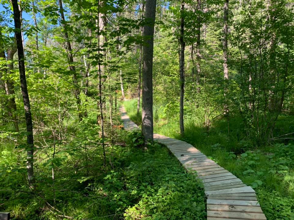 Ghost Lake Trail