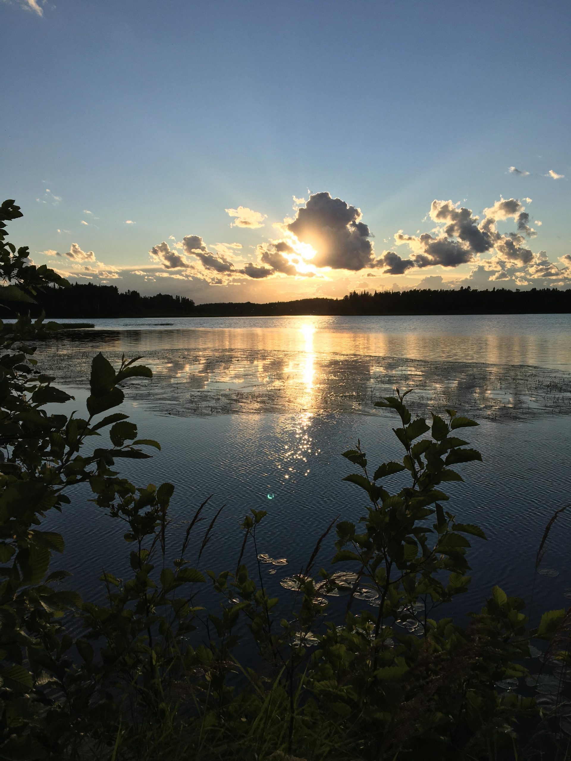 Sunset Laura Howe Marsh