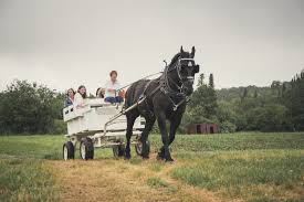 Gammondale Farm