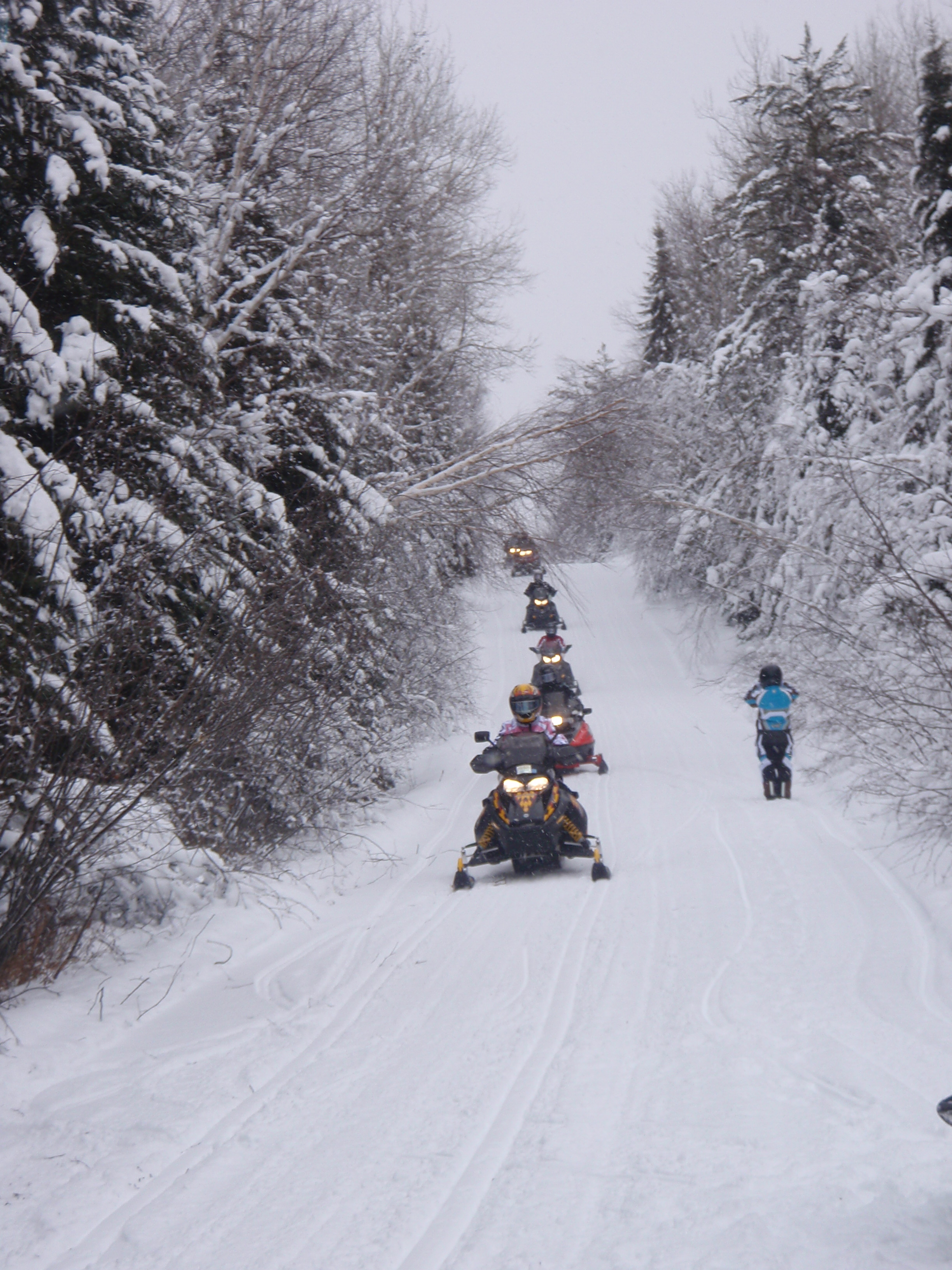 snowmobilers on trail