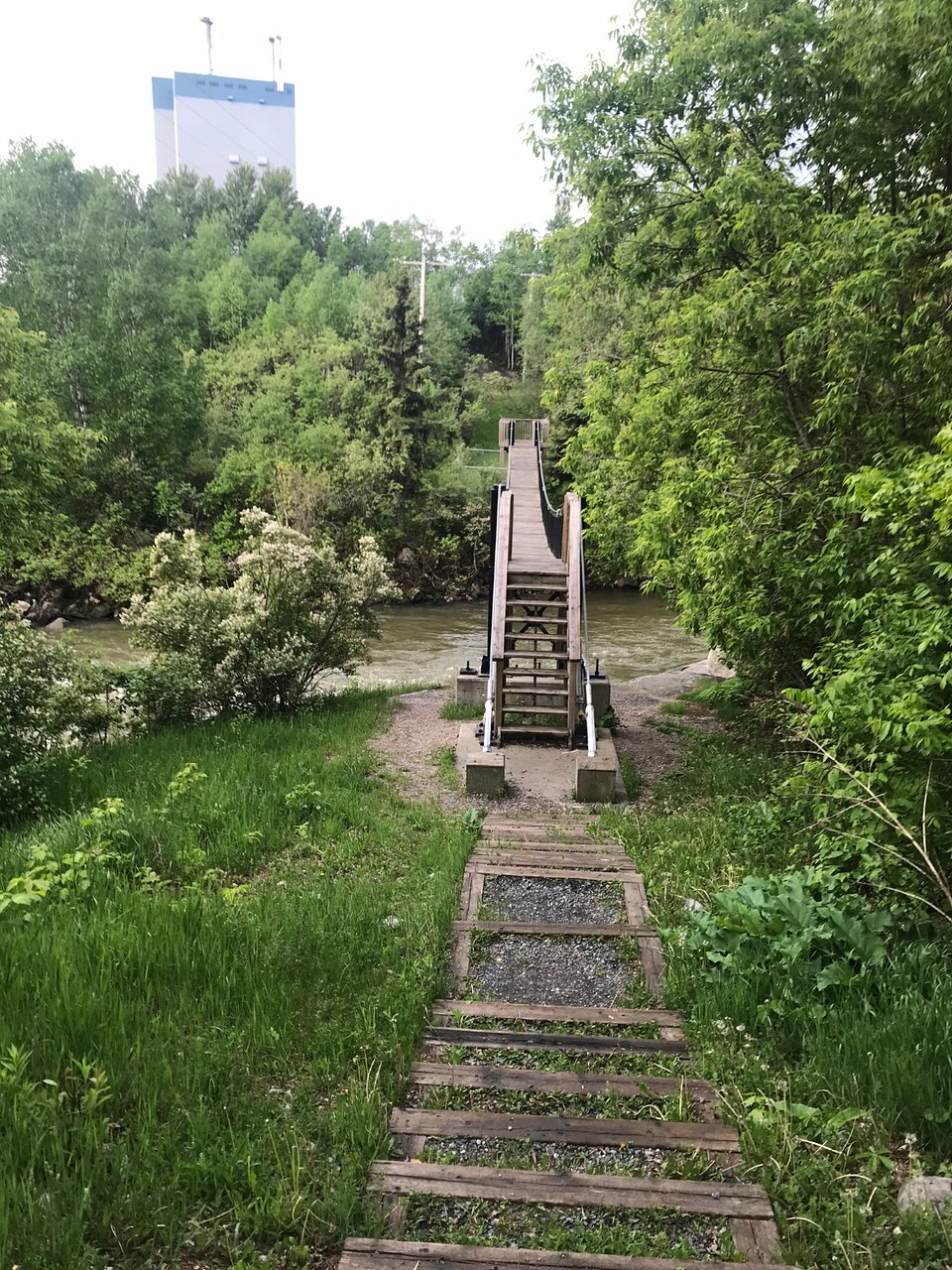 Roy Wilson Suspension Bridge