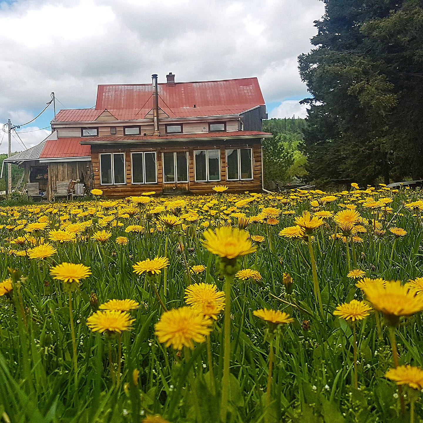 Rose Valley Lodge