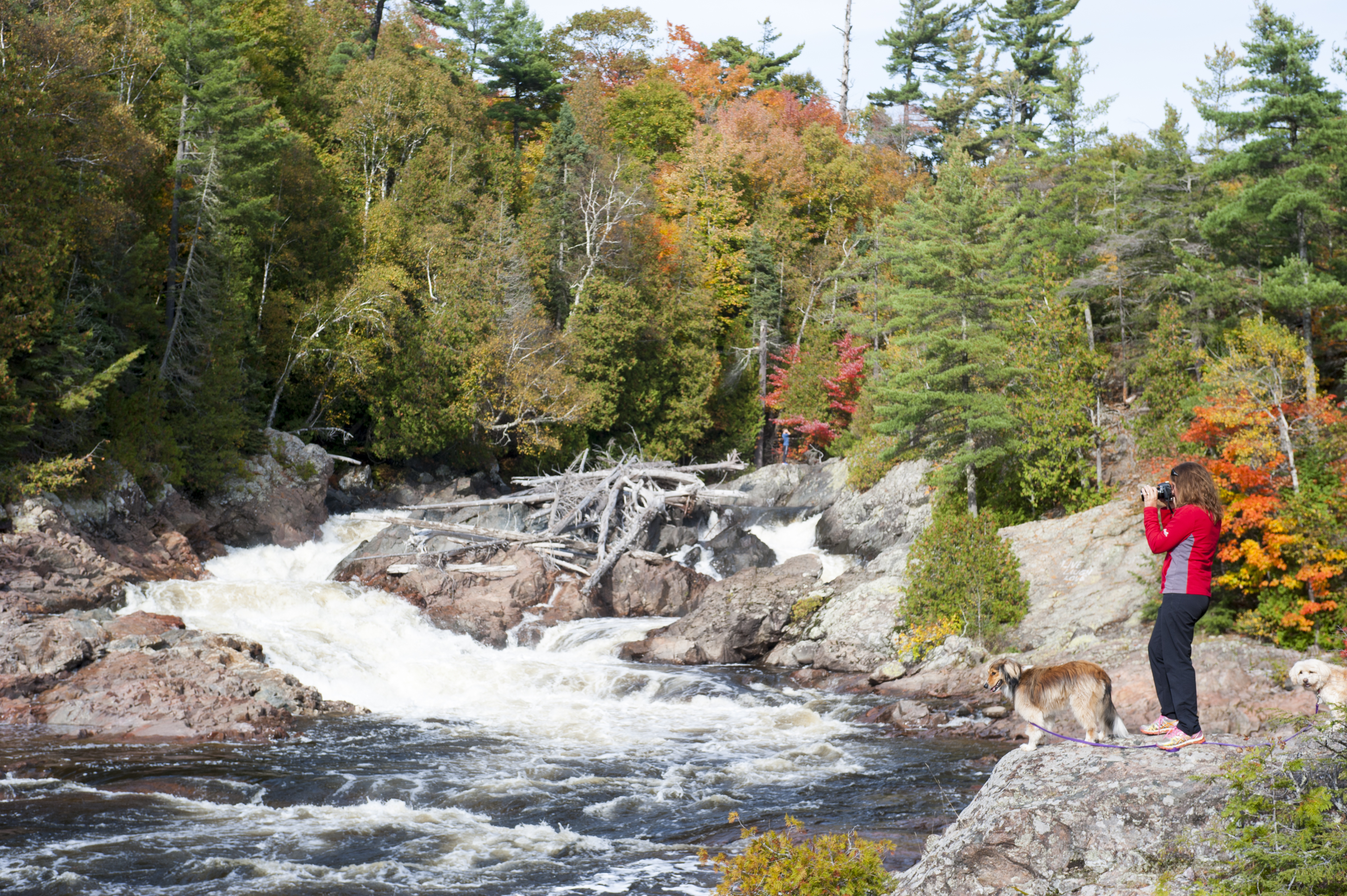 chippewa falls