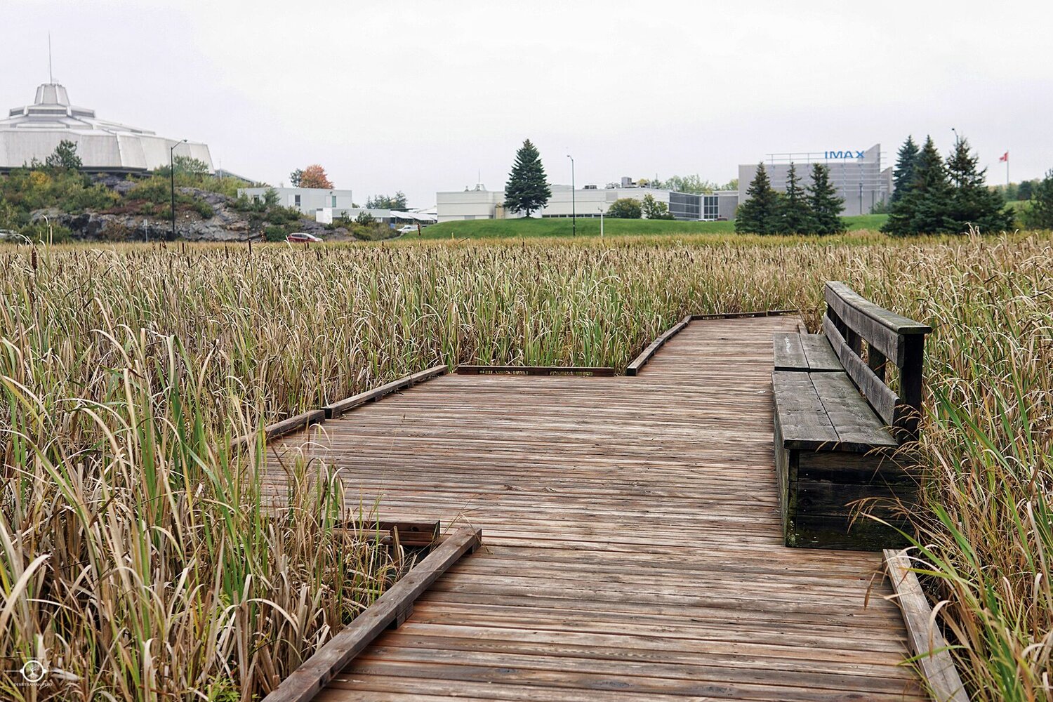 lily creek boardwalk trail sudbury