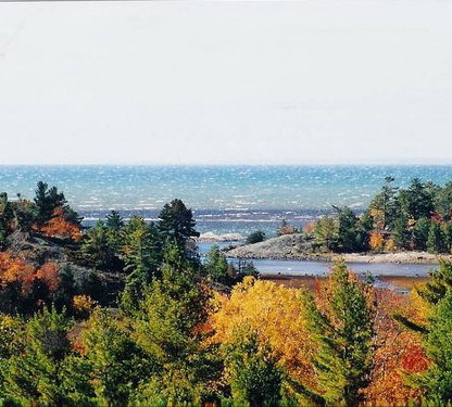 Woodland Loop - Boom Camp Interpretive Park Trails fall colours