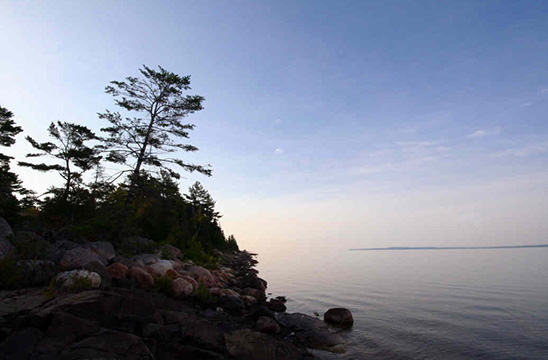 bruce bay cottages