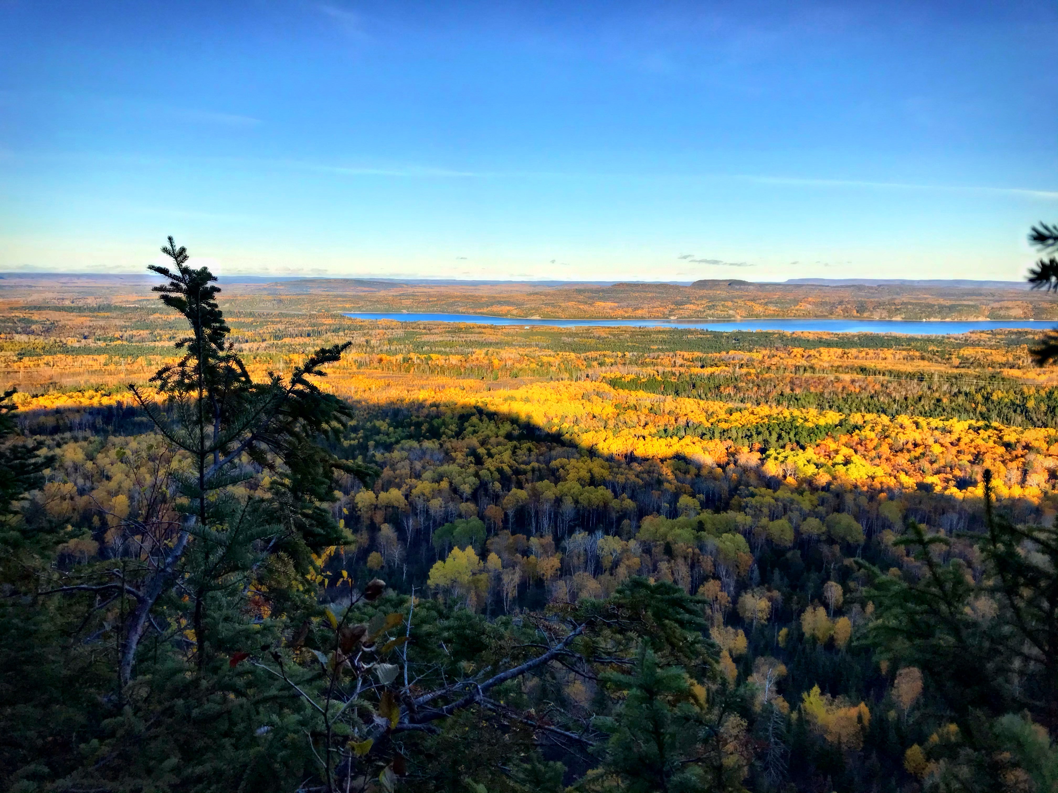 John Ahl Lookout