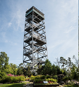 Tower on Tower Hill Parry Sound