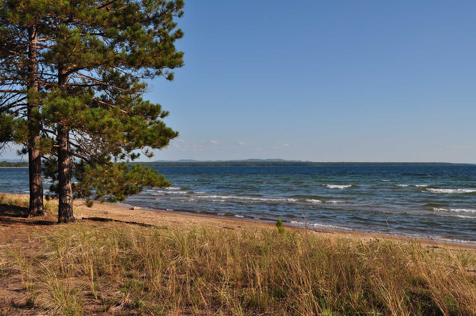 sandy beach, tree, water