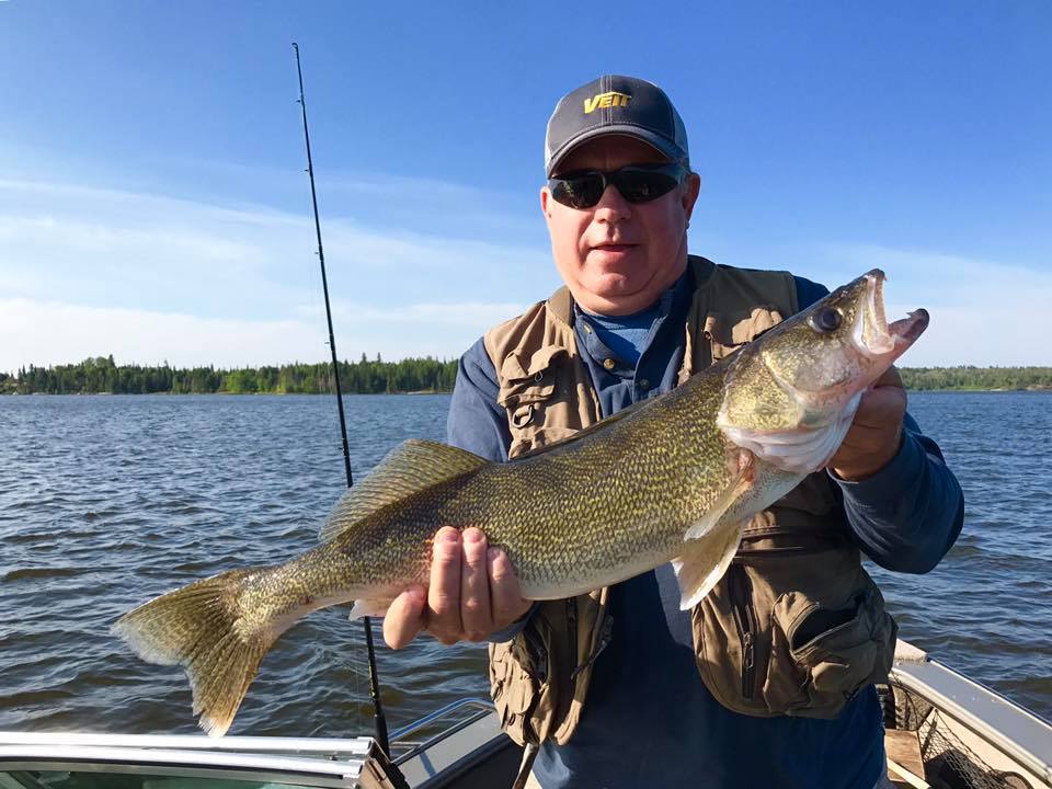 Walleye fishing at Buena Vista Resort