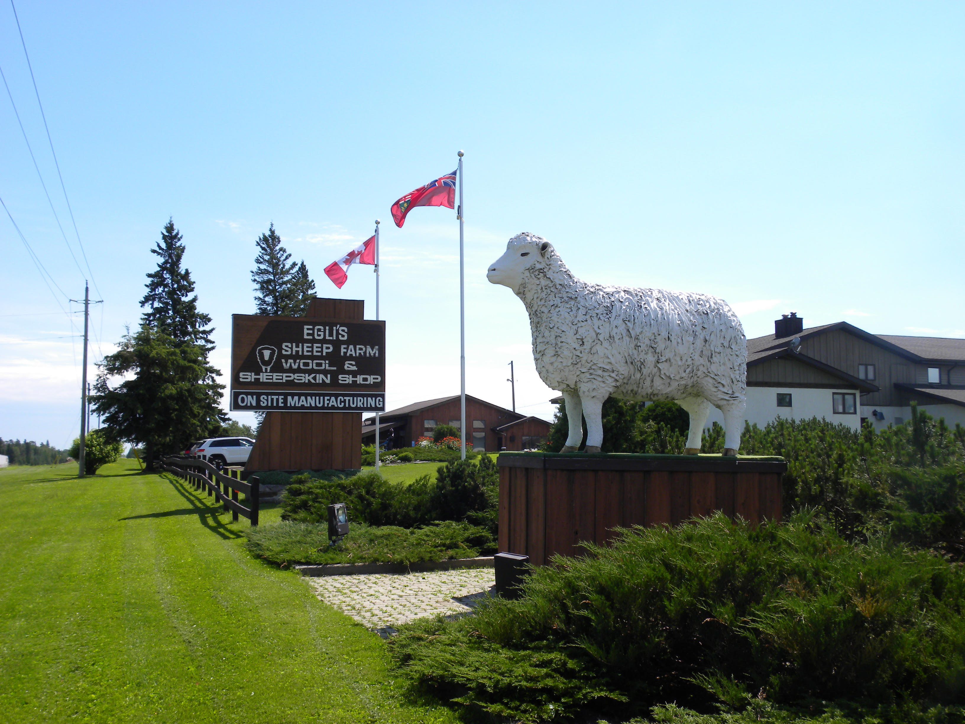 Egli's Sheep Farm sign