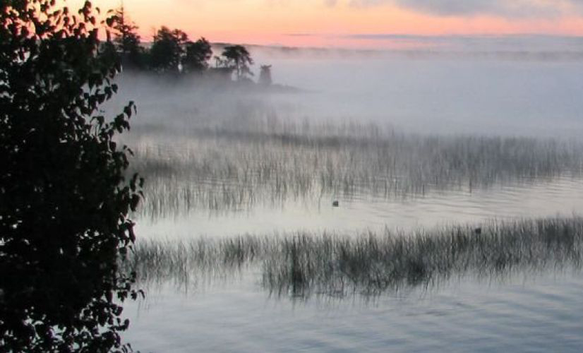 mist on the lake - vermilion bay