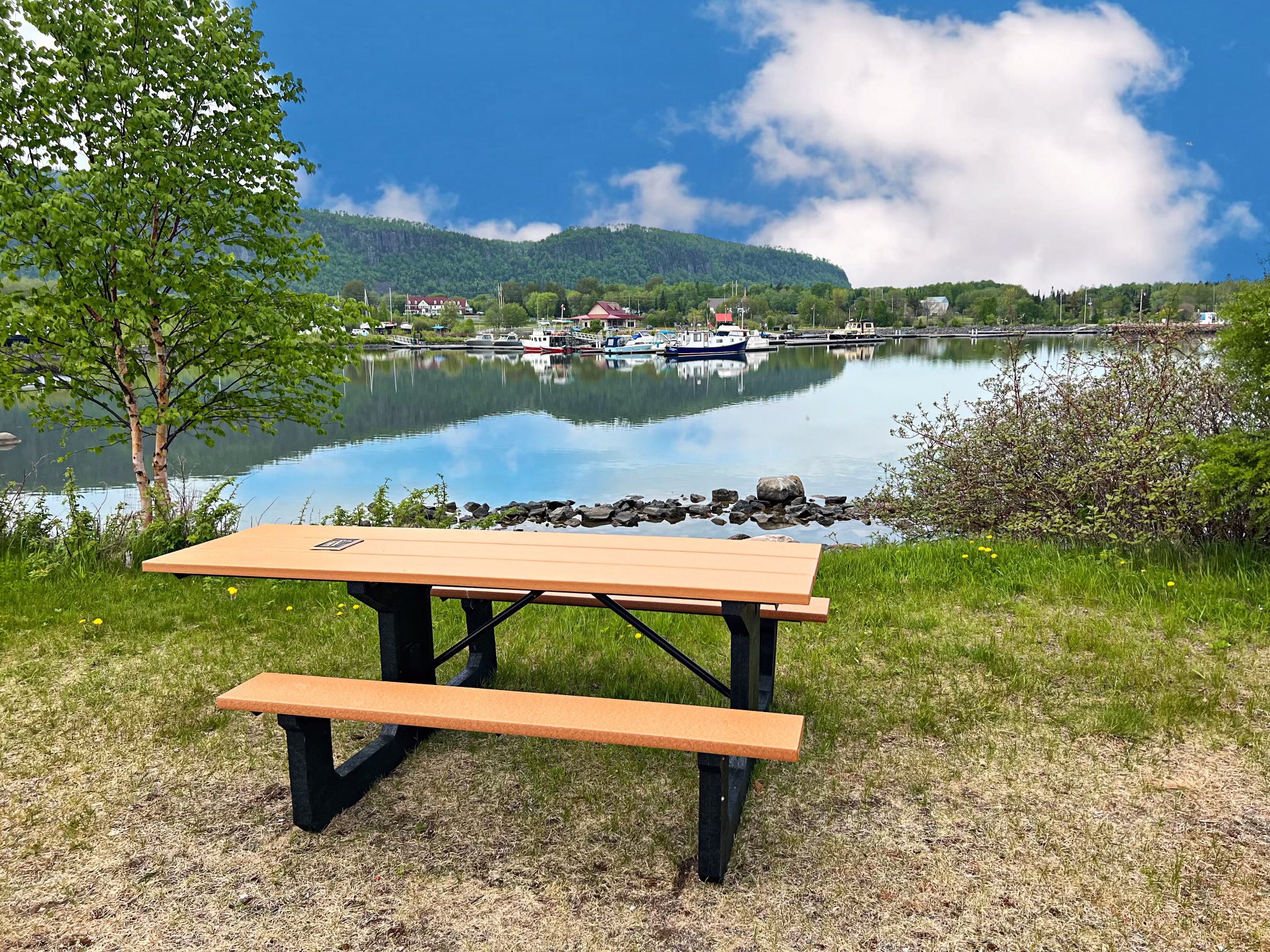 Red Rock Marina Superior Picnic Table