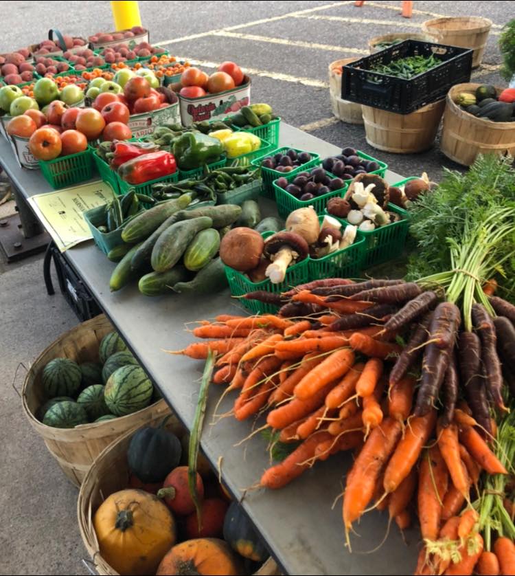 fresh vegetables produce