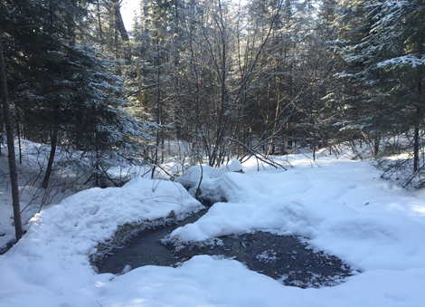 Pioneer Spring on Explorers Snow Tour