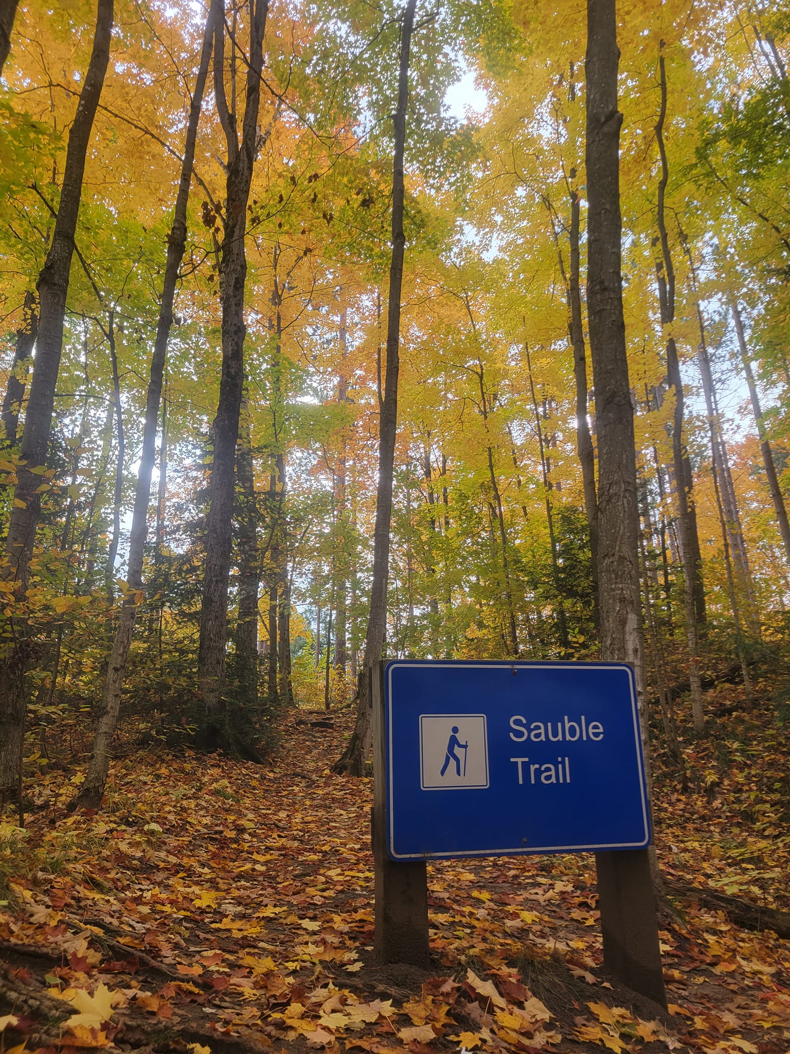 hiking sign at sauble falls provincial park