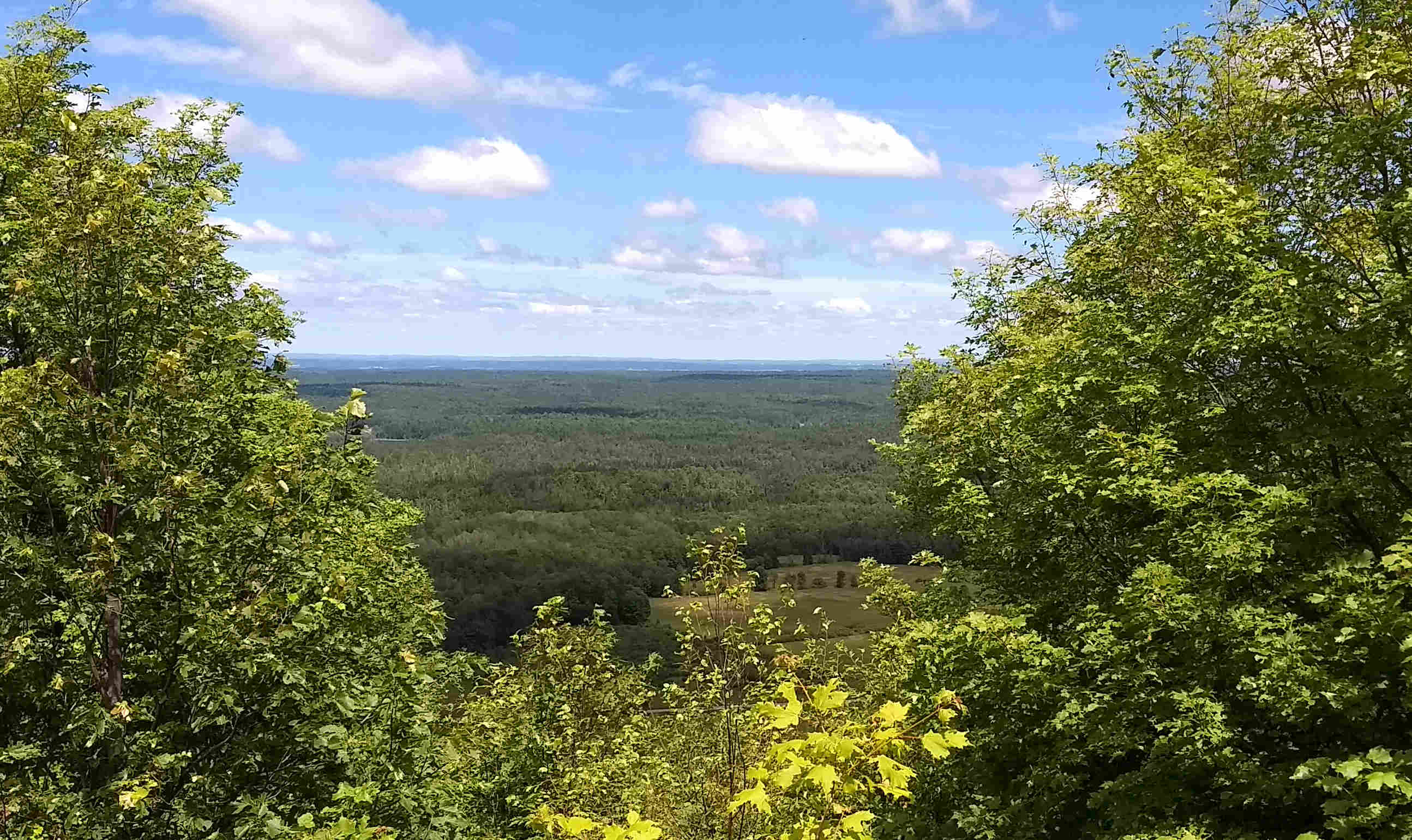 Lush green view from Dacre Heights