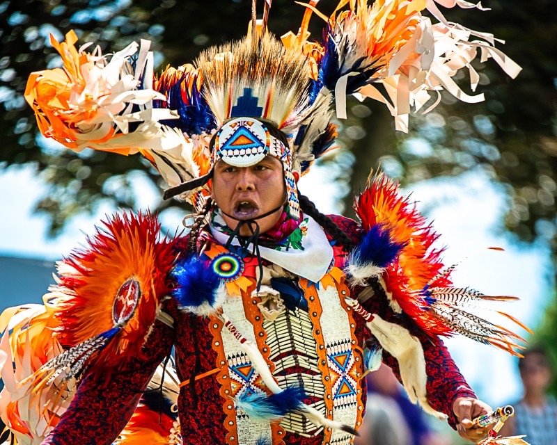 spirit of the drum pow wow dancer