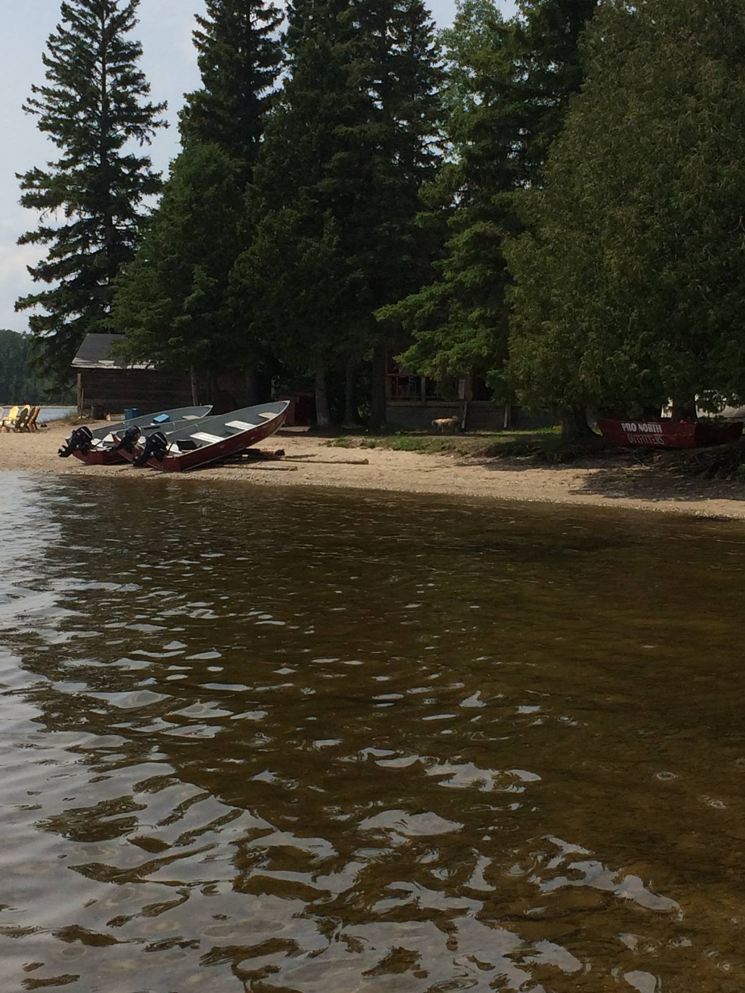 Boats on a beach