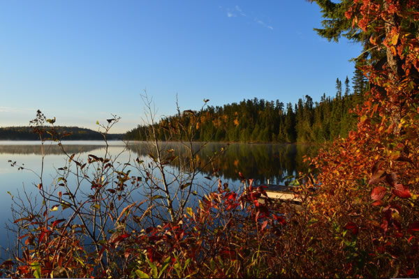 Looking out over a lake at campground