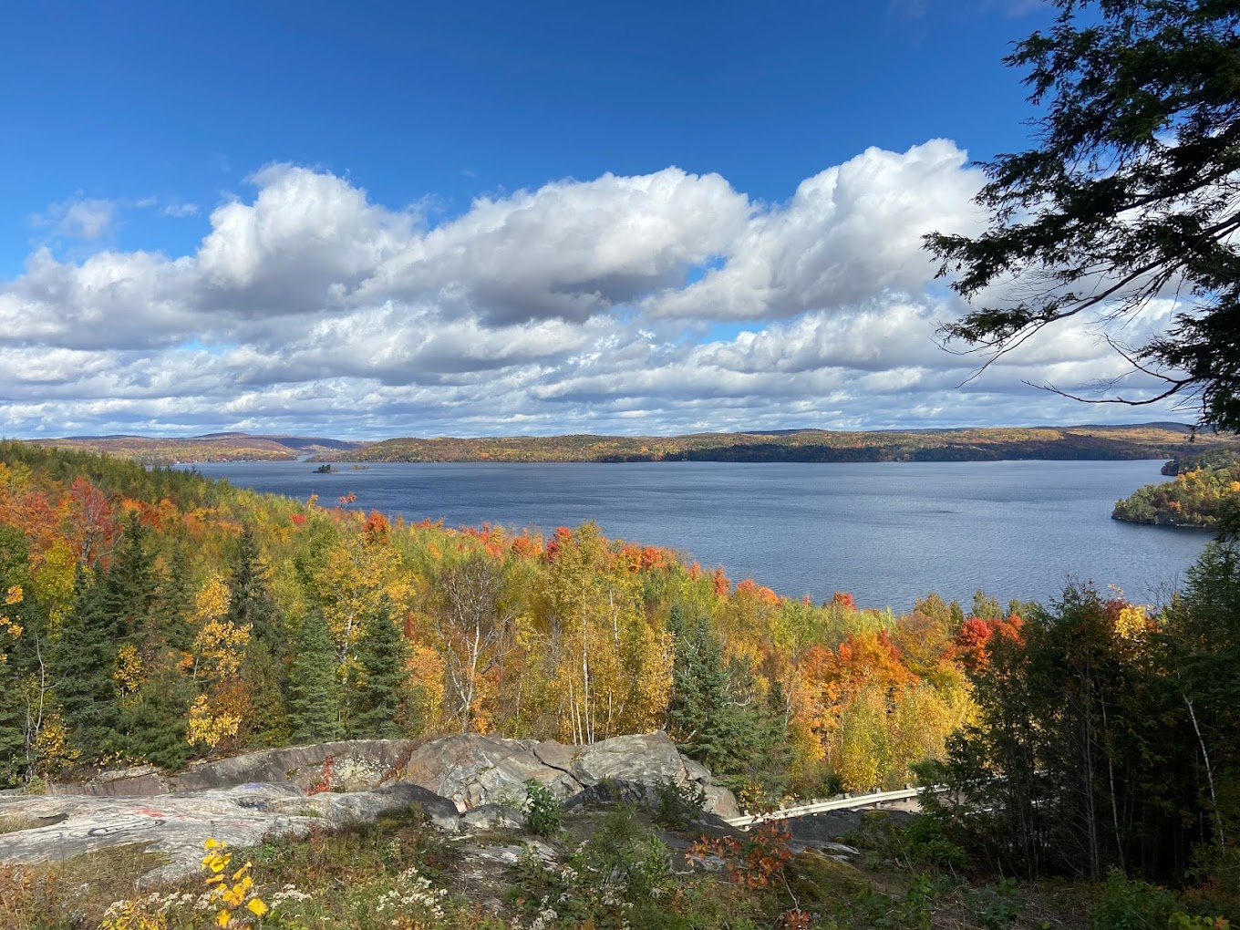 lookout over lake in autumn