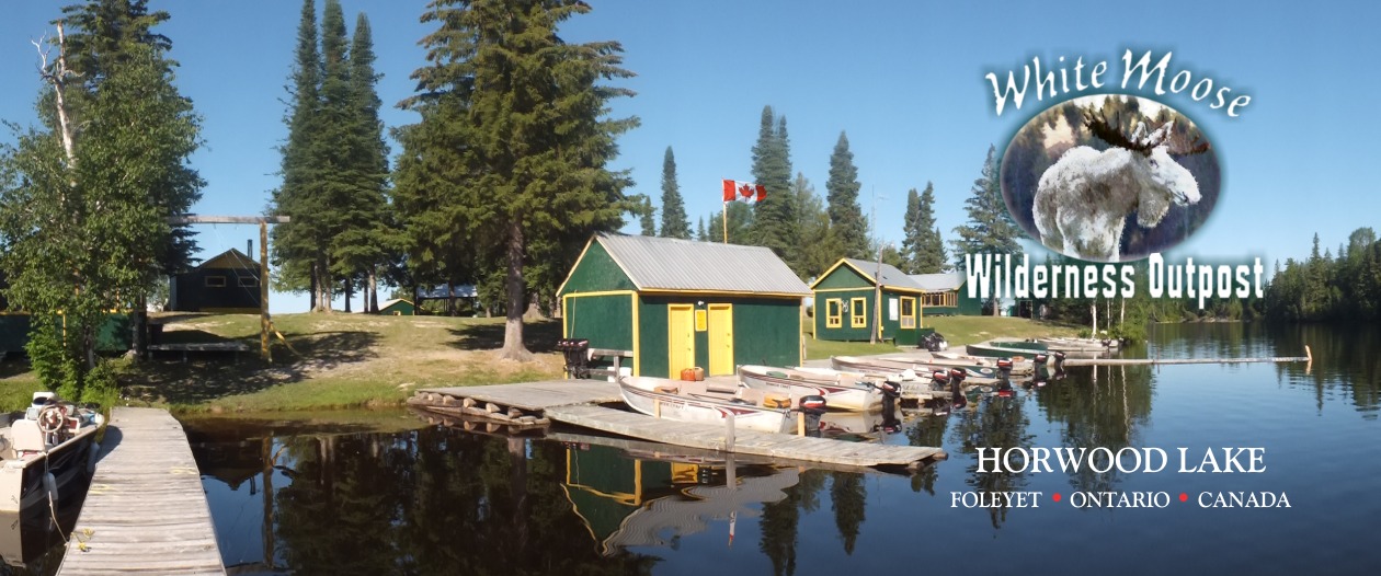 Docks and cabins on lake