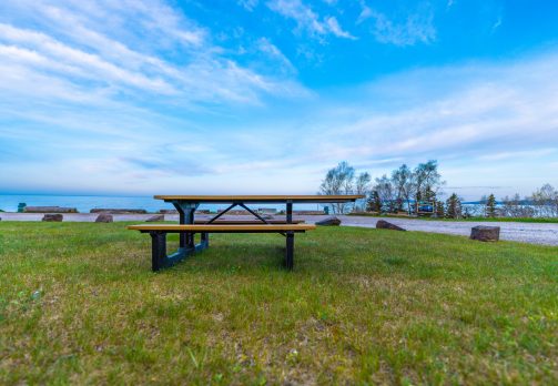 Superior Picnic Table - Pebble Beach