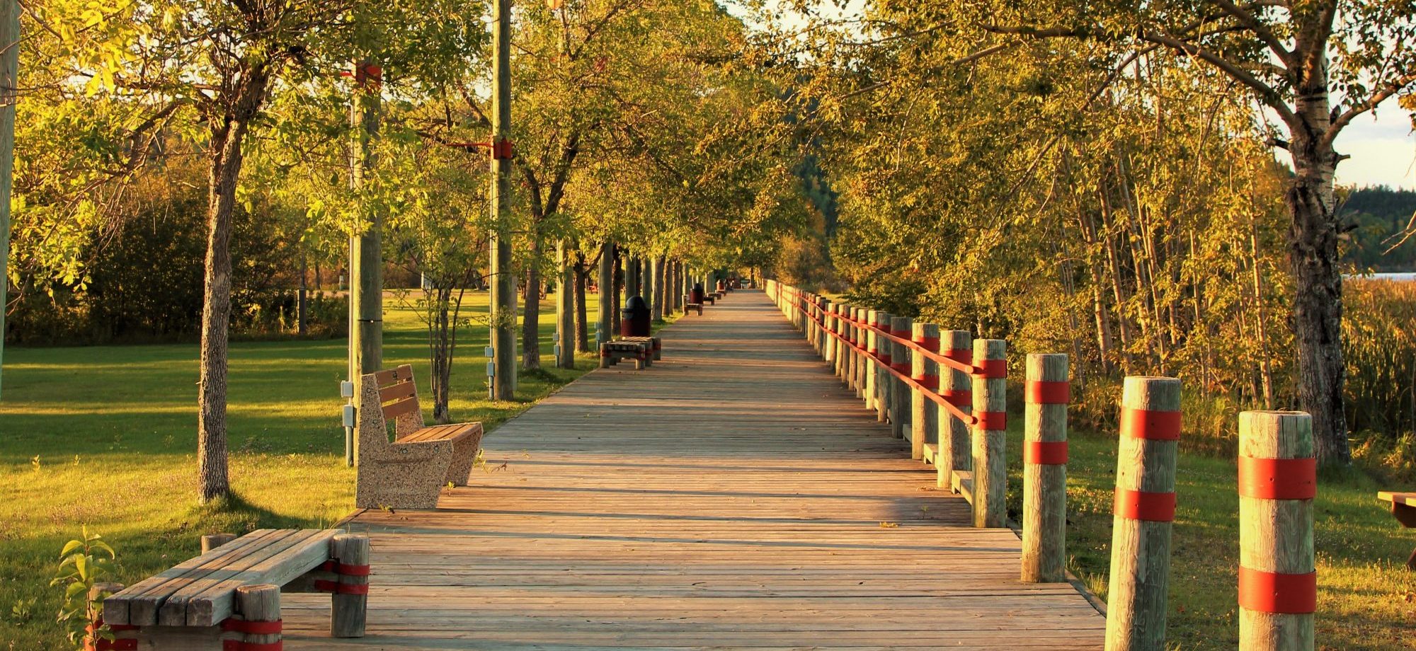 Boardwalk at park