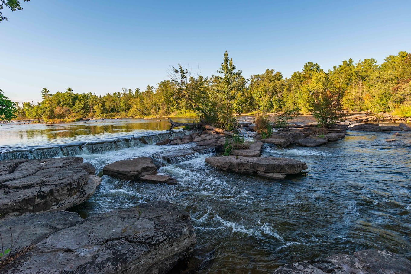 Water flowing around rocks with trees in the background