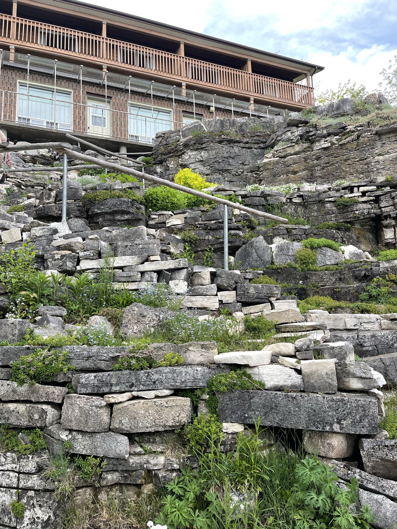 Front of hotel and rock garden