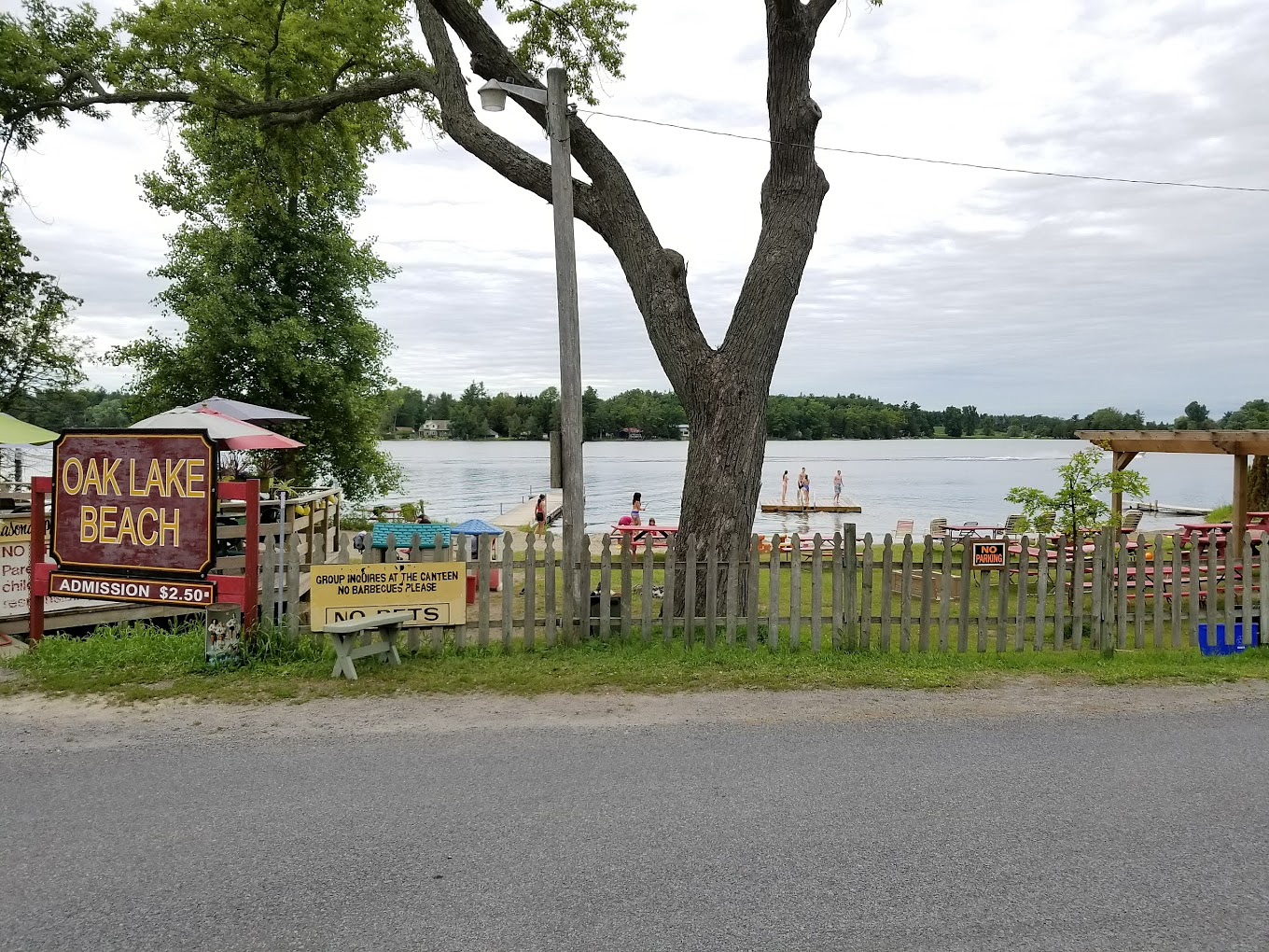 oak lake beach from the road