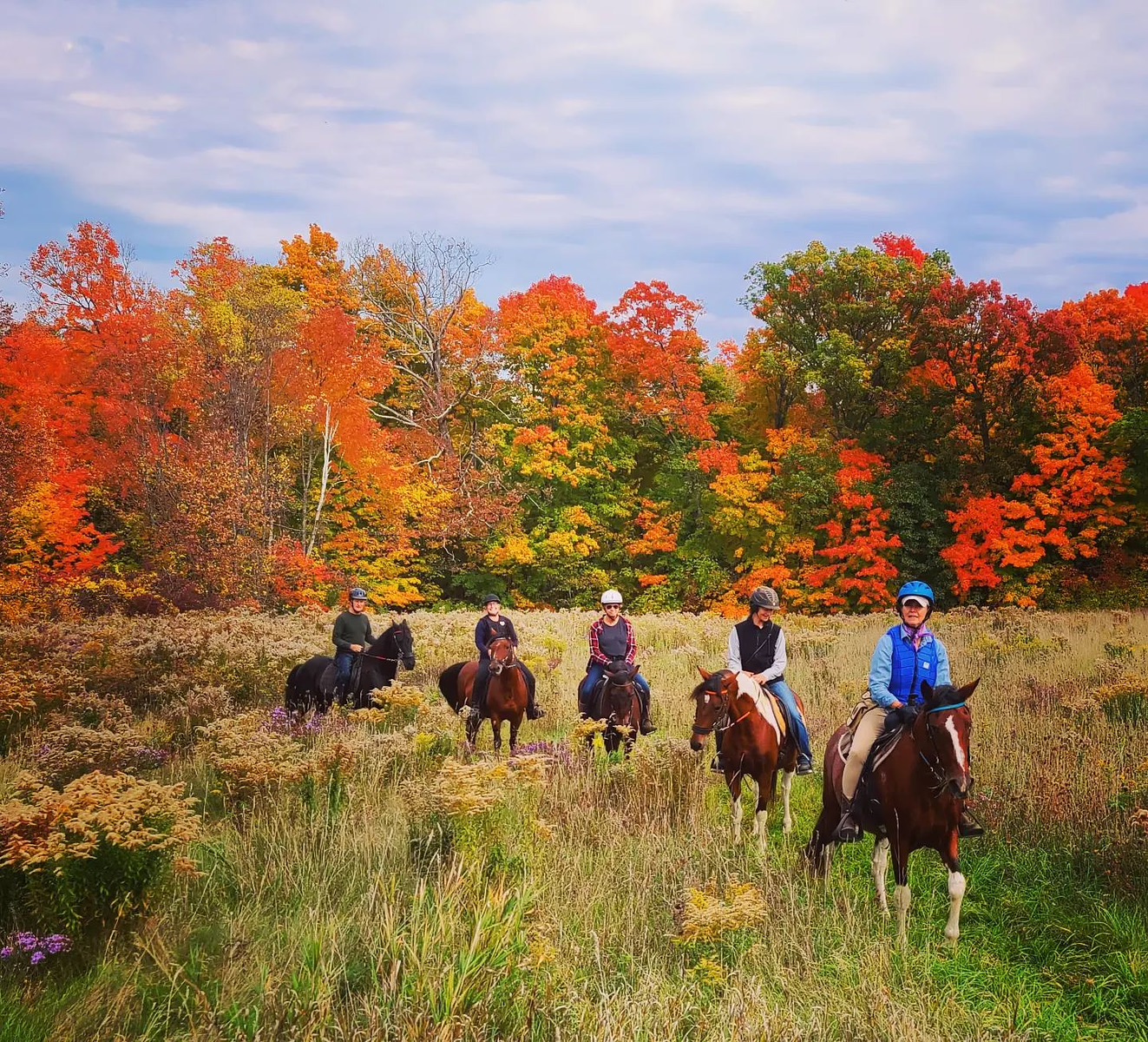 horse back riding through the fields