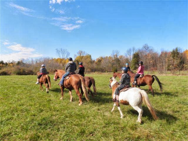 horse back riding in a field