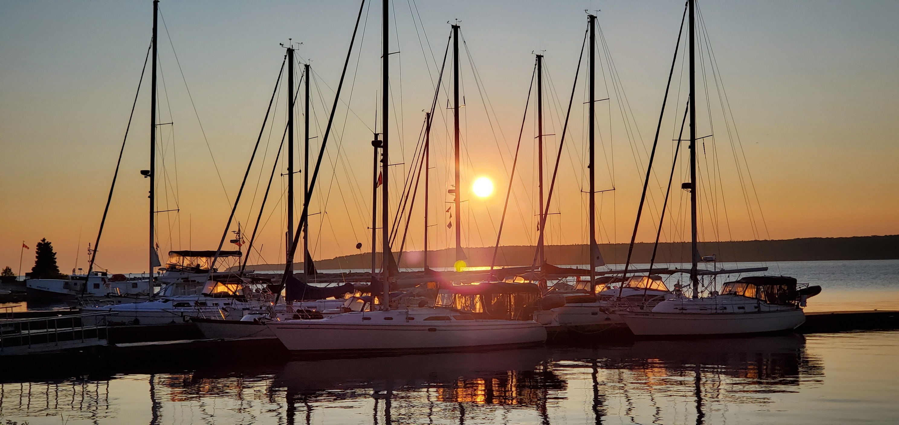 Sailboats in marina at dusk