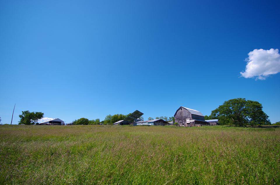 View of the farm