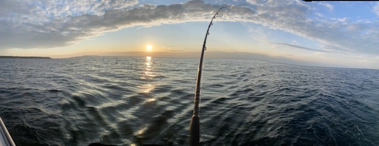 Fishing rod in the water