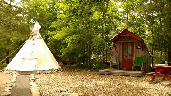 Tipi and cabin for rent