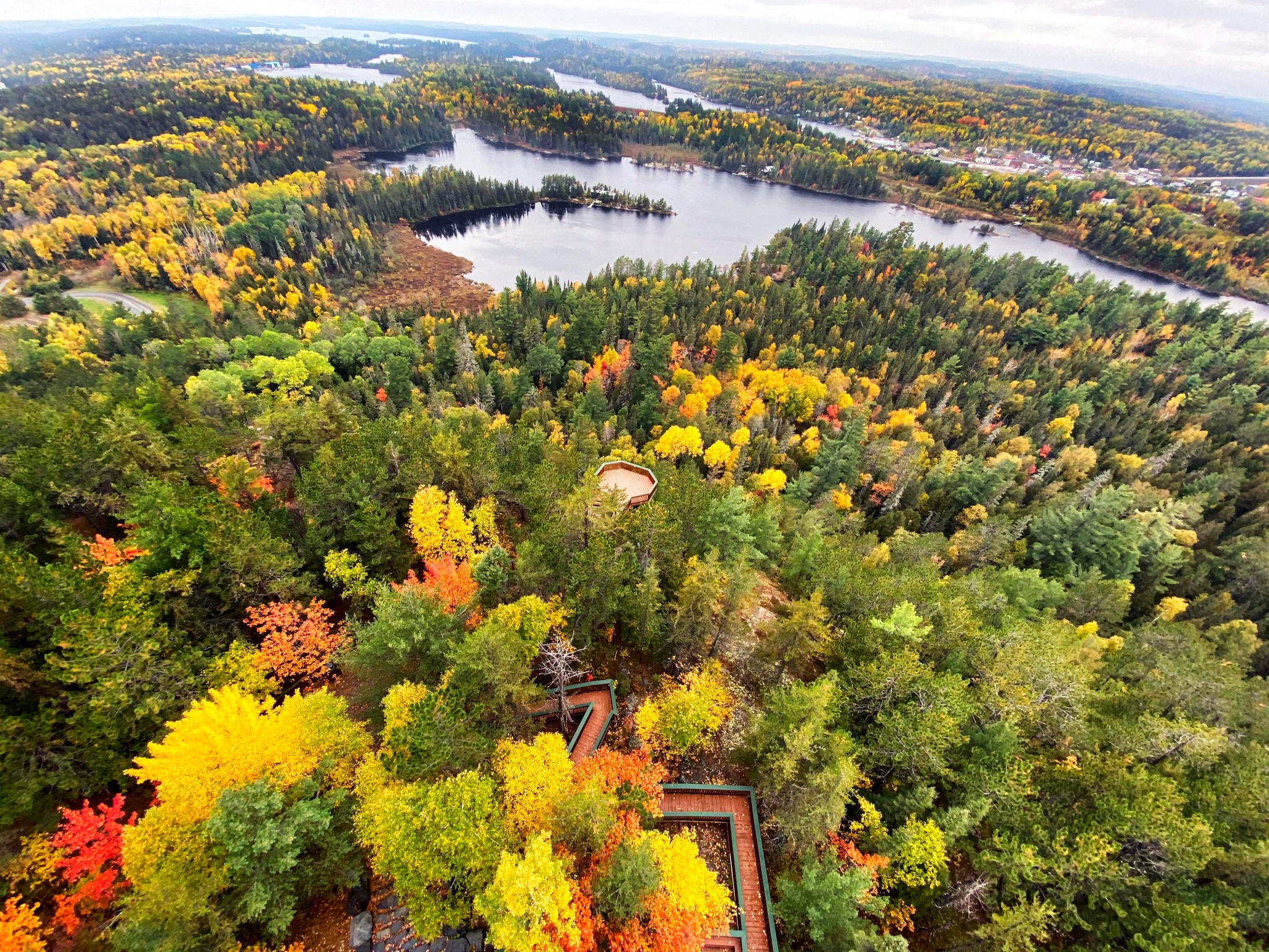 Arial view of trails in park