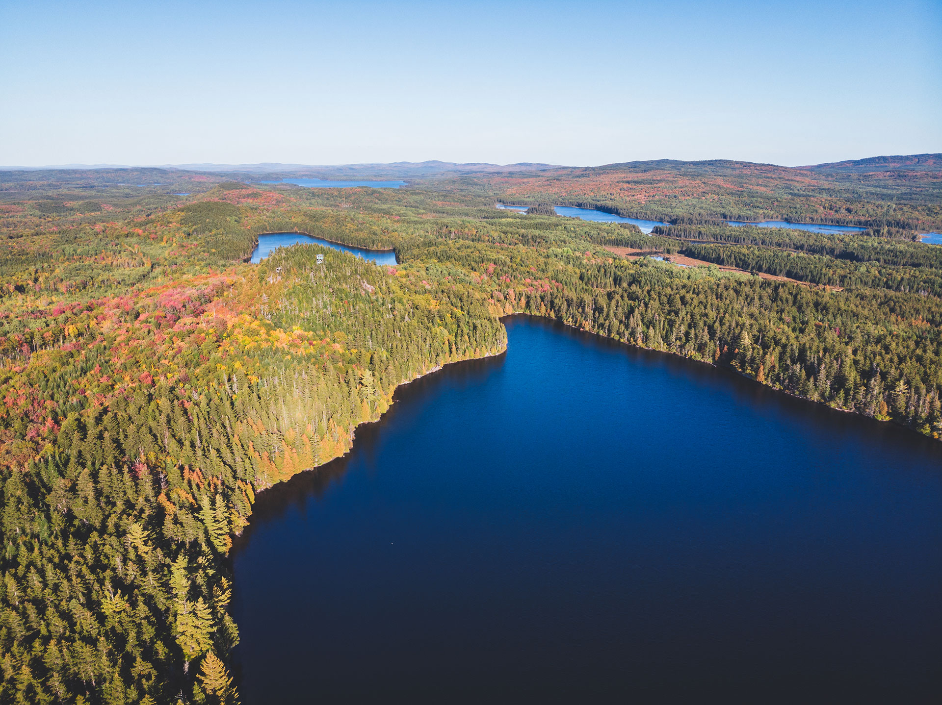 aerial view of lake and large expanse of forest