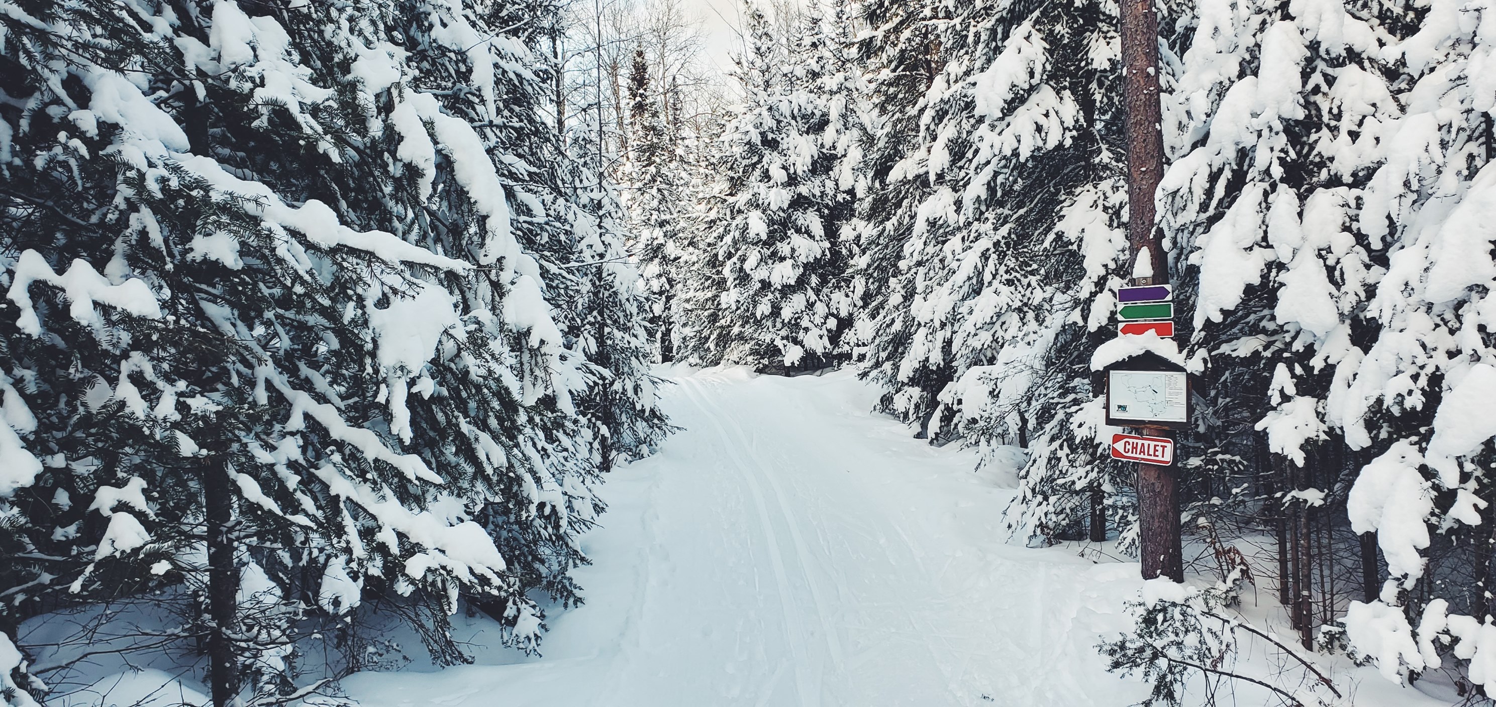 Trails covered in snow