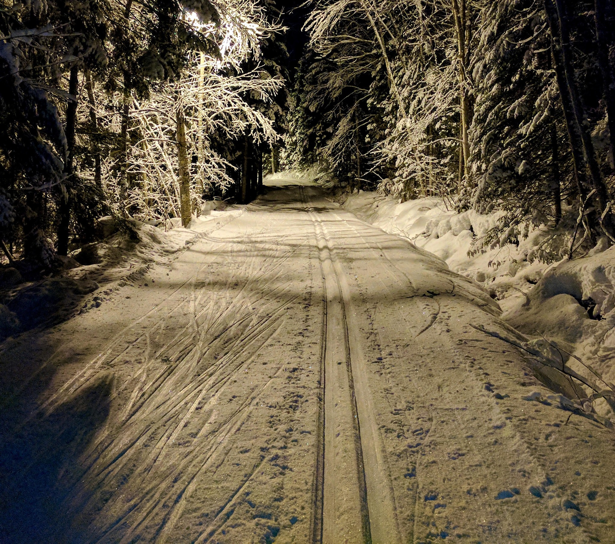 Groomed trails at night