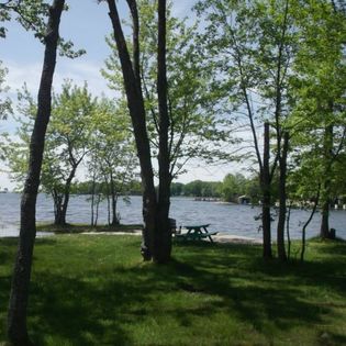 Waterfront through the trees 