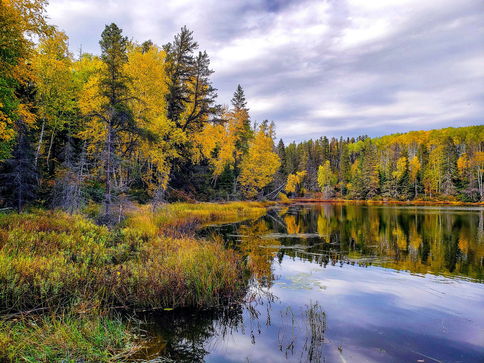 Shoreline of one of the lakes