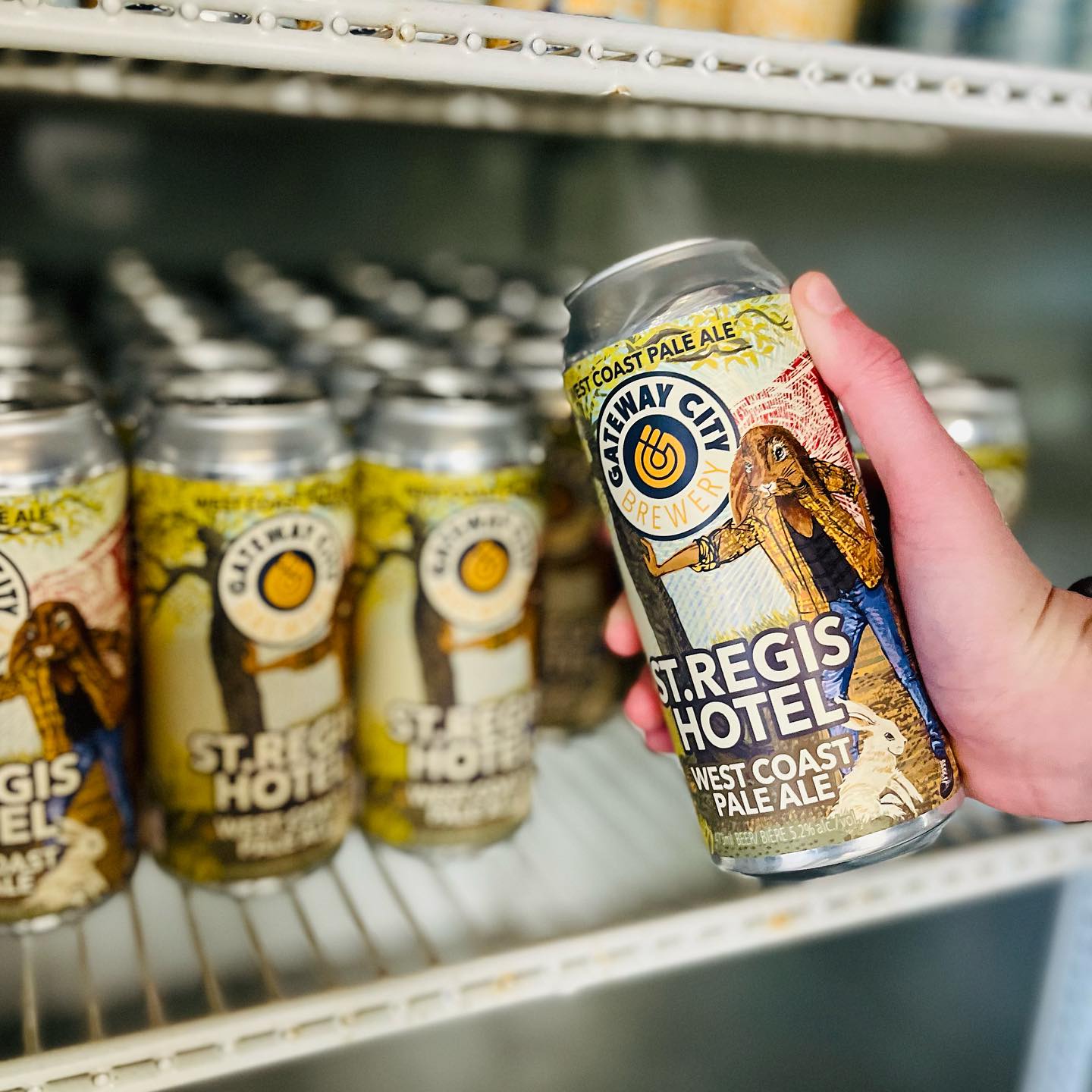 Beer being taken out of fridge