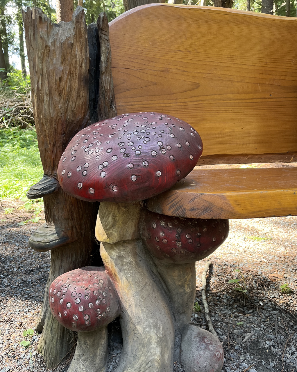 mushroom carving on a trail 